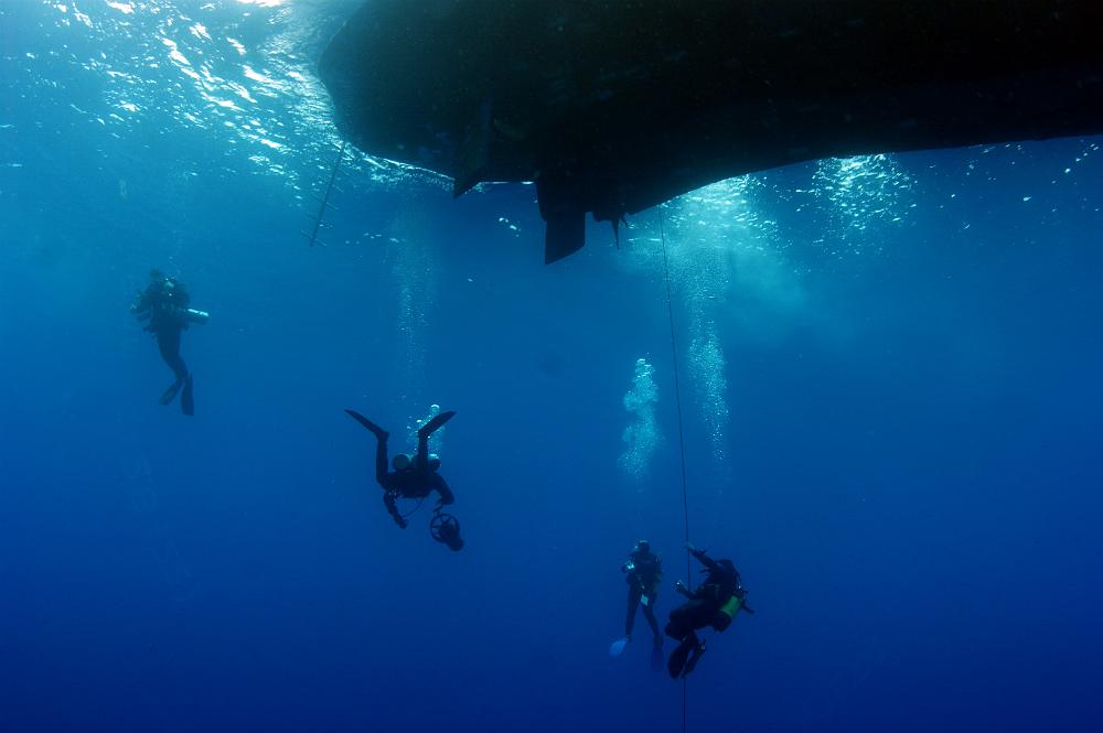 DSC70508.JPG - duikers onder de Tala