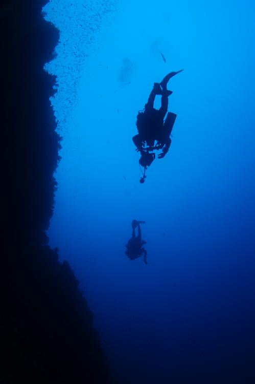 DSC70540.JPG - silhouet van duiker naast elphinstone