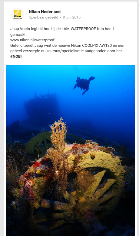 1st place Nikon NL underwater contest