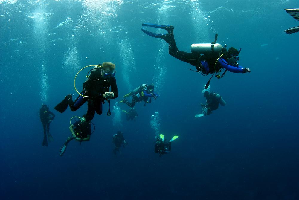 DSC10437.jpg - duikers in het open water - maldiven